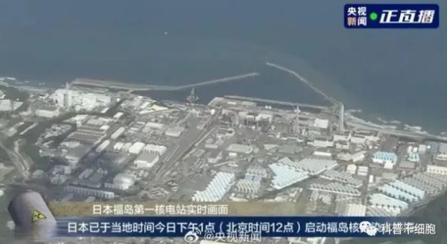 日本核污染水240天后会流到中国，免疫细胞将肩负重任